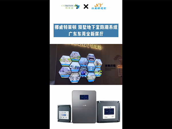 挪威特莱顿 别墅地下...